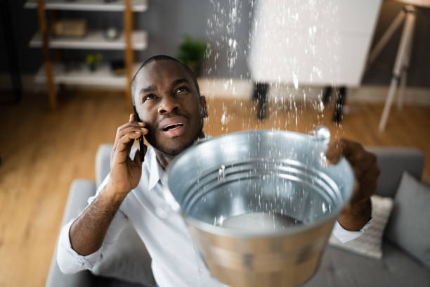 Best Carpet water damage restoration  in Junction, TX