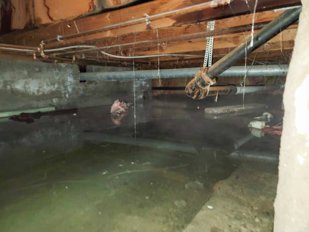 Best 24/7 water damage repair  in Junction, TX