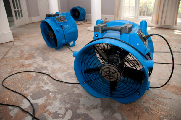 Best Emergency water extraction  in Junction, TX