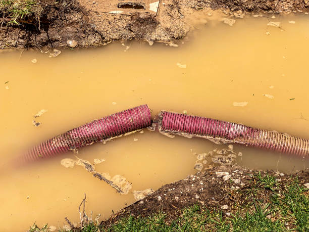 Best Water damage cleanup near me  in Junction, TX